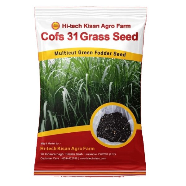 Cofs 31 ( CSV MF ) Fooder grass